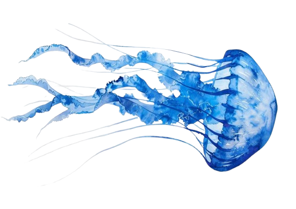 Jellyfish-removebg-preview